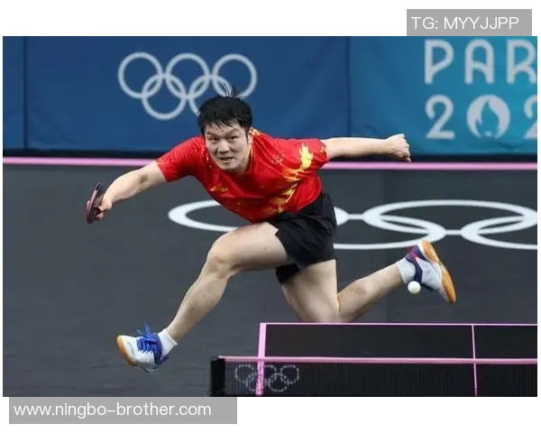 专访王磊：深入探讨乒乓球背后的成功秘诀与训练心得